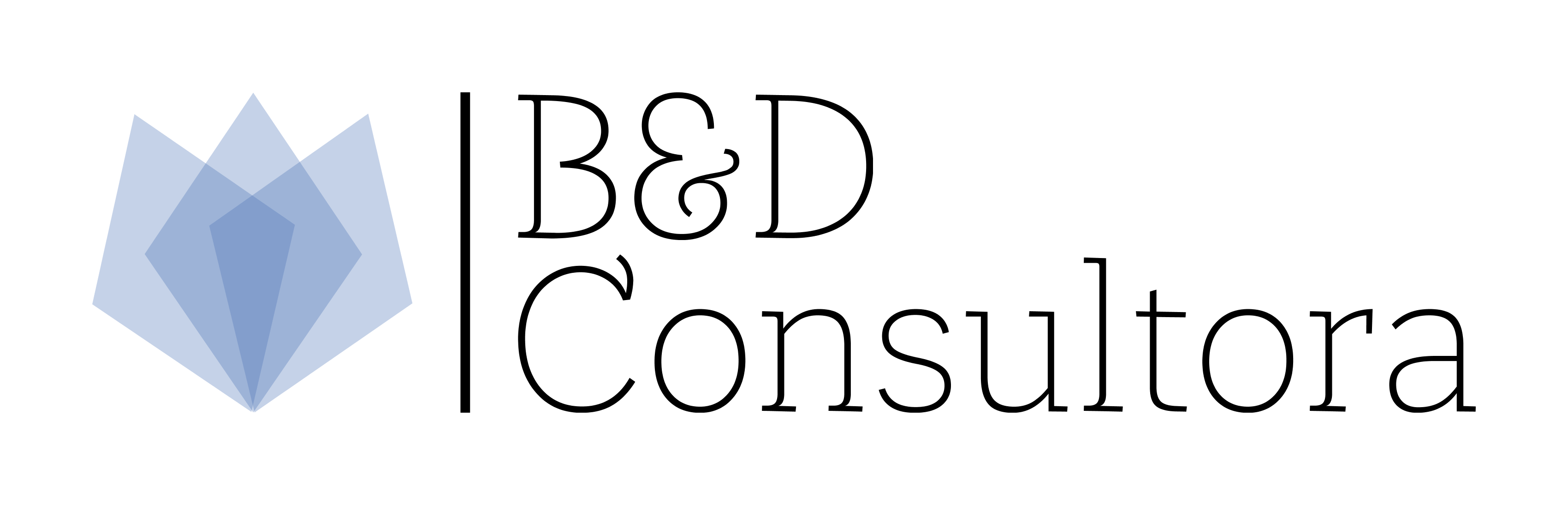 Logo B y D Consultora, Argentina、南米、South America